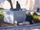 IMG_0260.JPG (36012 bytes)